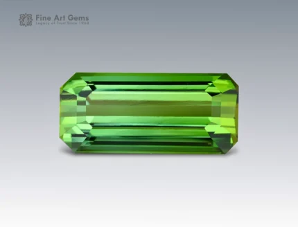 12.85 carat green tourmaline emerald cut gemstone from Afghanistan, ideal for a ring, pendant, or fine jewelry collection.