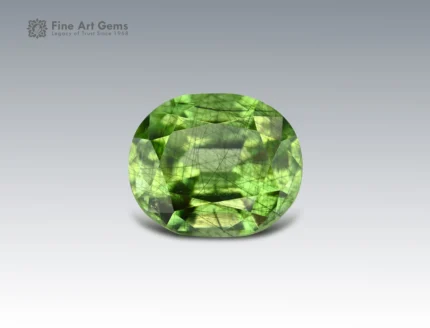 2.9 carat oval-cut peridot gemstone from Pakistan with vivid green color and natural ludwigite inclusions.