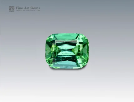 Brilliant 2.7 carat cushion-cut tourmaline from Afghanistan, radiating vivid green hues with excellent brilliance and fine clarity.