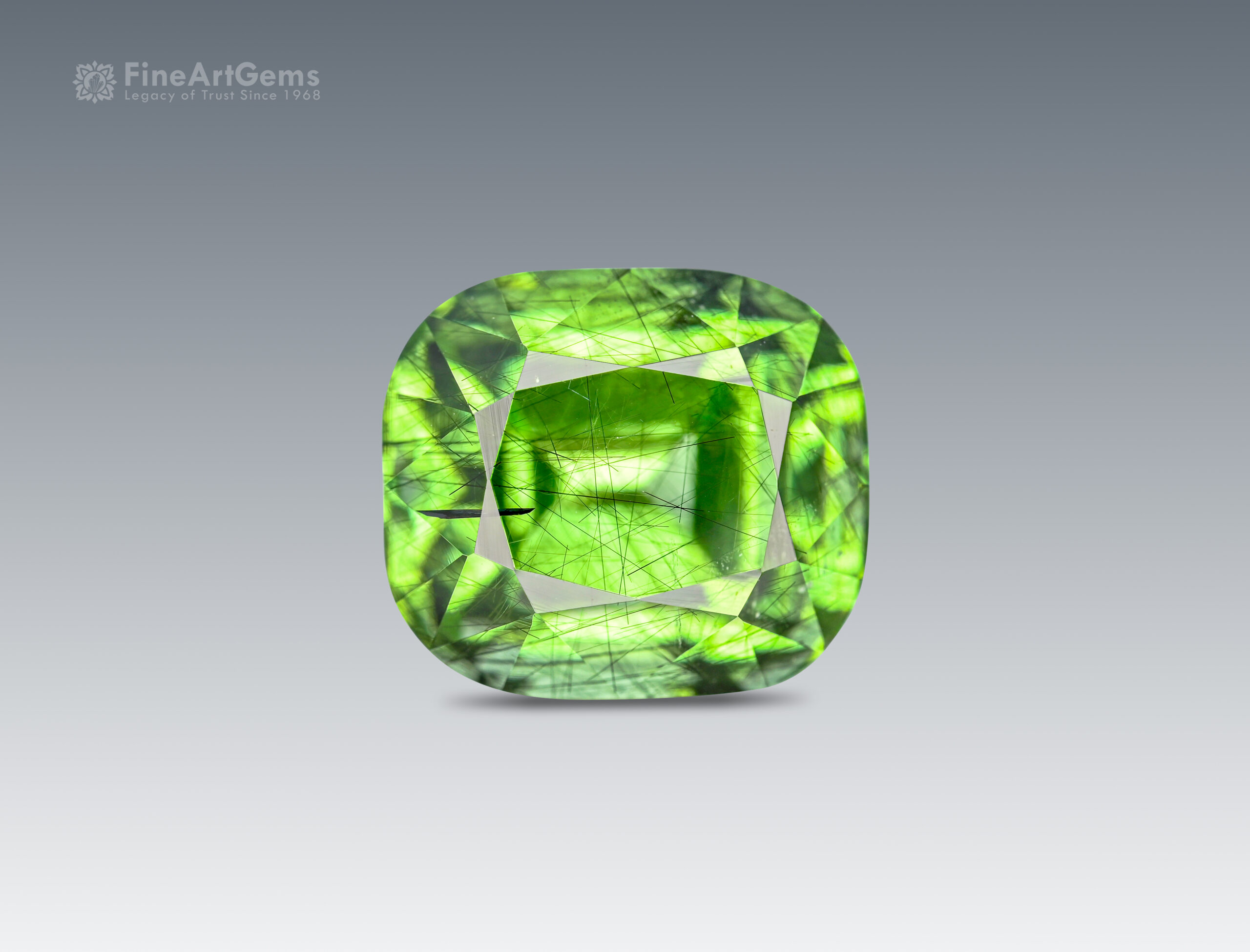 6.65 Carat Natural Peridot with Ludwigite Inclusion from Pakistan
