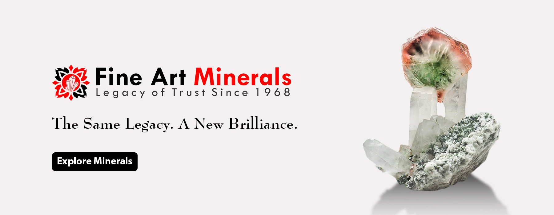 FAM Mid Ad Banner 3