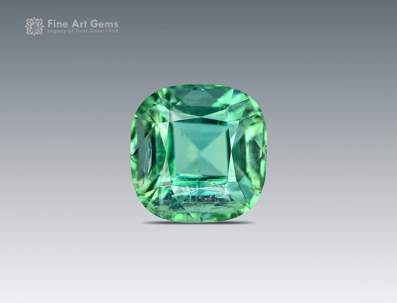 1.70 ct cushion cut green tourmaline Afghanistan (2) Cushion cut green tourmaline gemstone from Afghanistan, 1.70 carats, untreated