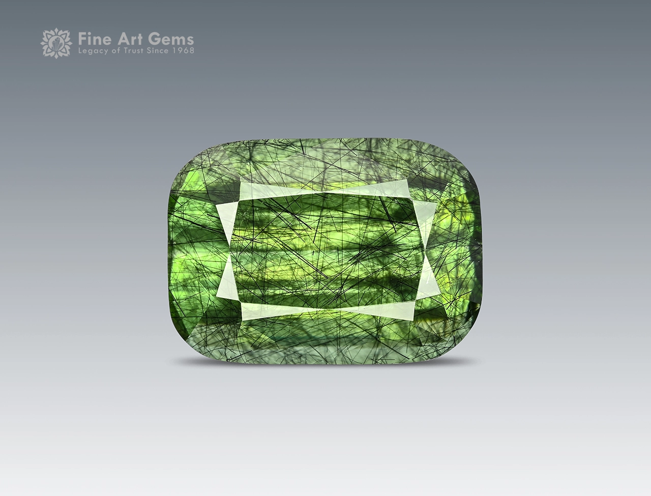 7 Carat Cushion Cut Ludwigite Included Peridot from Pakistan (2) 7 carat cushion cut green peridot with ludwigite inclusions from Pakistan